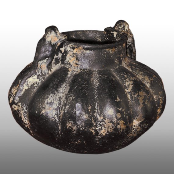 Cultura Nariño  OLLA / NARIÑO PHITOMORPHIC POT