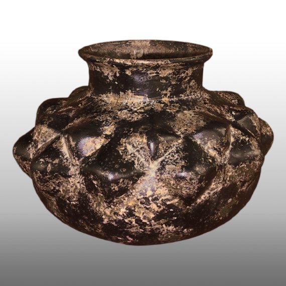 Cultura Nariño OLLA / NARIÑO PHITOMORPHIC POT