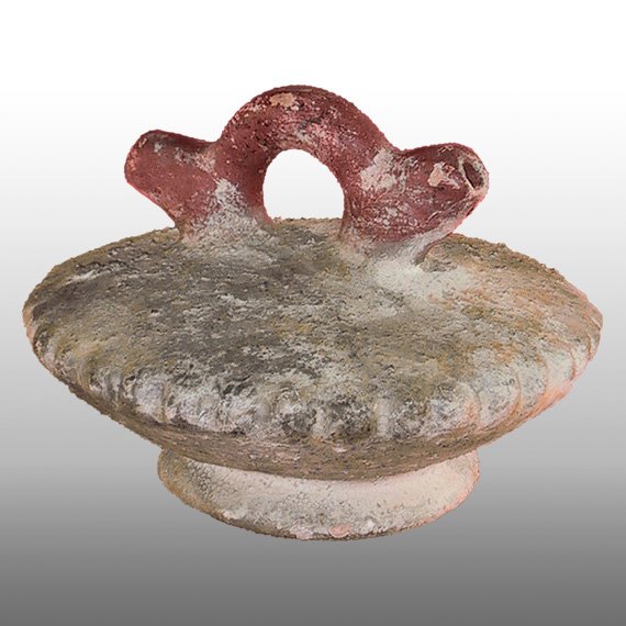 Cultura Tumaco ALCARRAZA / TUMACO PHITOMORPHIC JUG